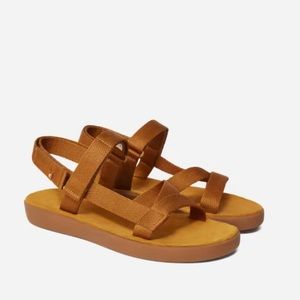 Everlane ReNew Sport Sandal